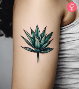 Синий Solid Ink Agave – цена, описание и отзывы — фото