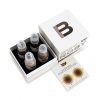 Набор красок World Famous Ink Sasha O'Kharin RGBY Skin Tone Set – цена, описание и отзывы — фото