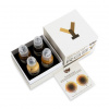 Набор красок World Famous Ink Sasha O'Kharin RGBY Skin Tone Set – цена, описание и отзывы — фото