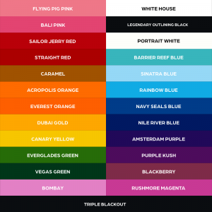 Набор красок World Famous Ink 25 Bottle Color Set – цена, описание и отзывы — фото
