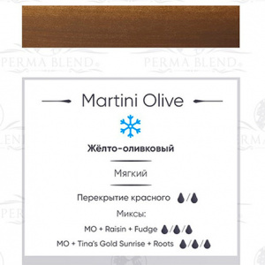 Пигмент для татуажа Perma Blend Martini Olive – цена, описание и отзывы — фото