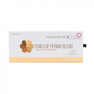Набор для татуажа Perma Blend TONES OF PERMA BLEND - FITZPATRICK 1-2 SET 1 – цена, описание и отзывы — фото