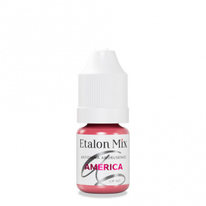 Пигмент для татуажа Etalon Mix AMERICA от A. Andrusenko – цена, описание и отзывы — фото