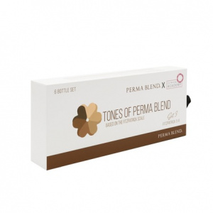 Набор для татуажа Perma Blend TONES OF PERMA BLEND - FITZPATRICK 5-6 SET 3 – цена, описание и отзывы — фото